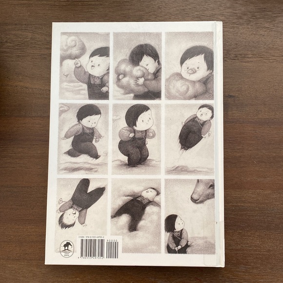 The Only Child by Guojing (hardcover) Ex-Library Picture Book Graphic Adventure - Picture 11 of 12